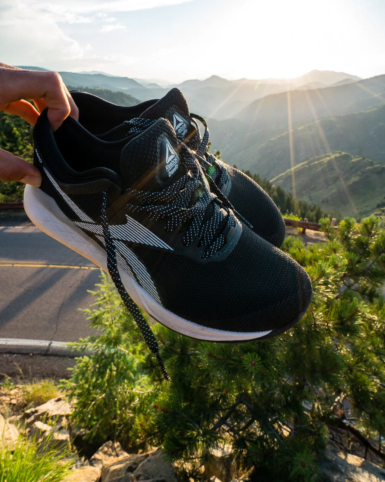 reebok Nano 9 x dick s sporting goods F. SPONTELLI